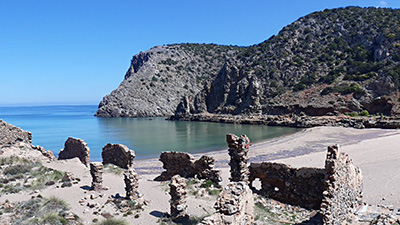Cala-domestica