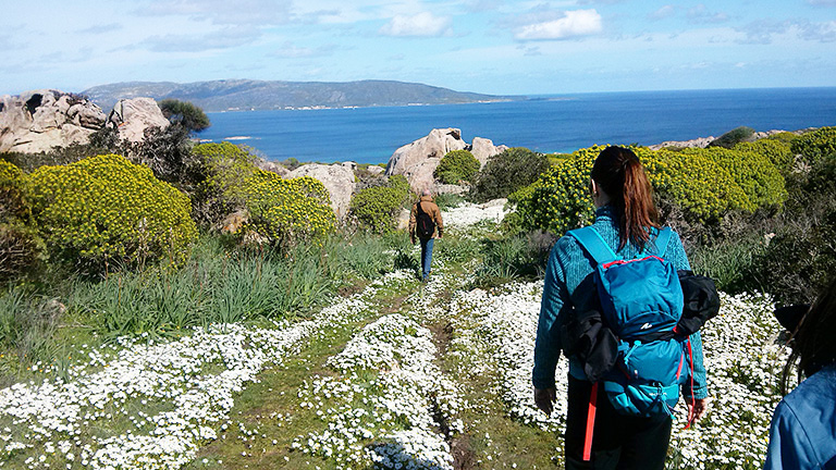 Trekking-asinara_768