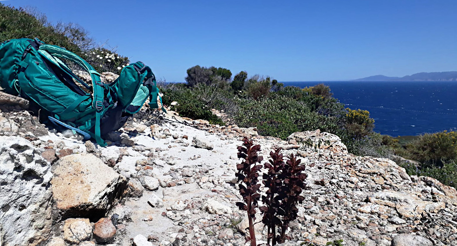 Zaino-trekking-1600