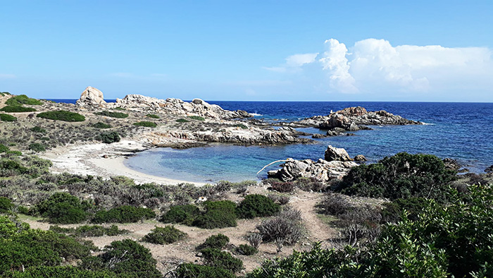 Giordano-asinara-700