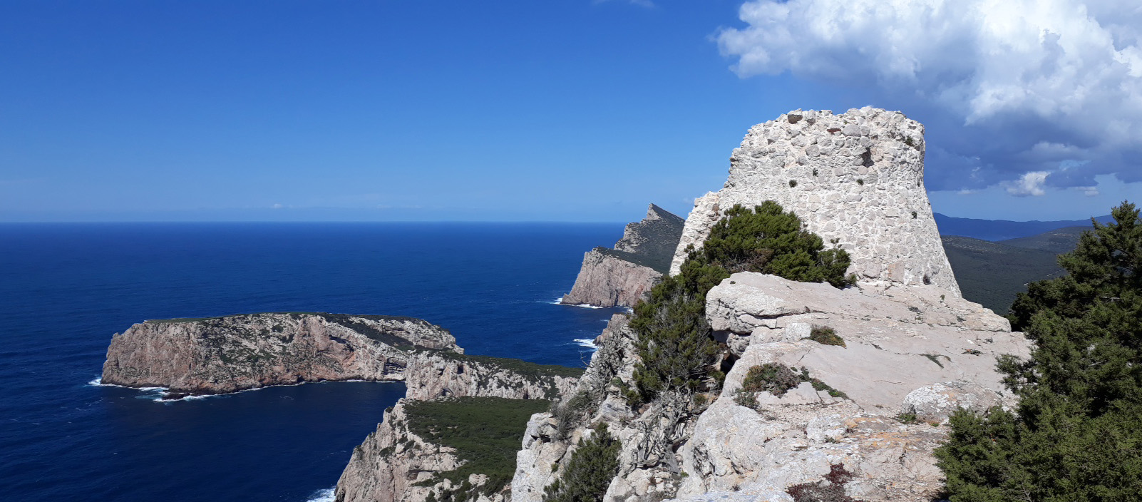 Torre-della-pegna_1600