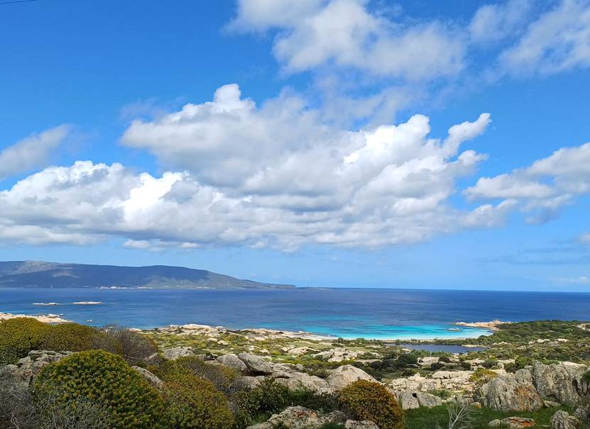 Cala-sant-andrea-asinara_831
