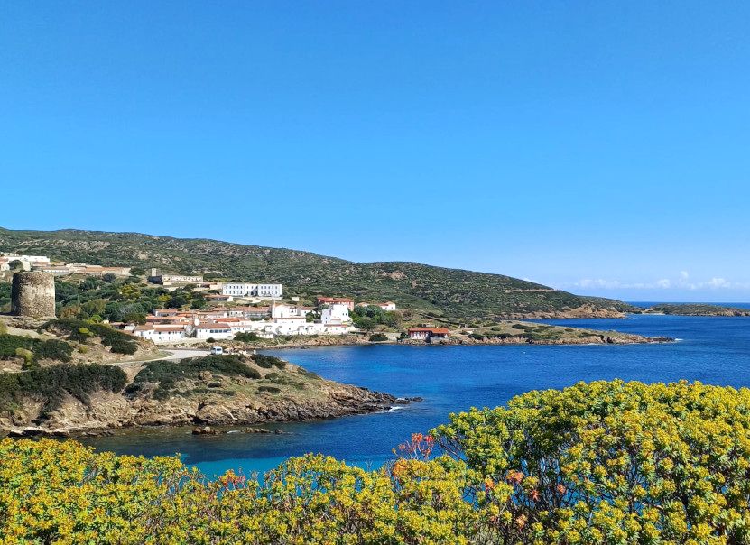 Cala-oliva-asinara_831